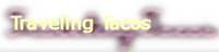 Cat Tacos